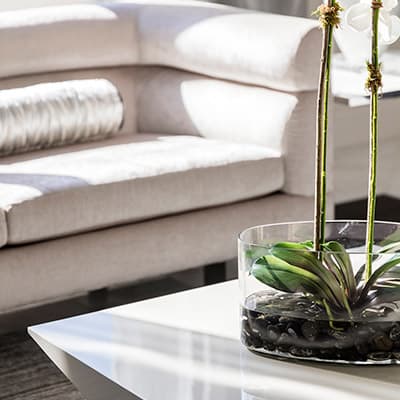 Pirela Atelier - Window Treatments & Accessories